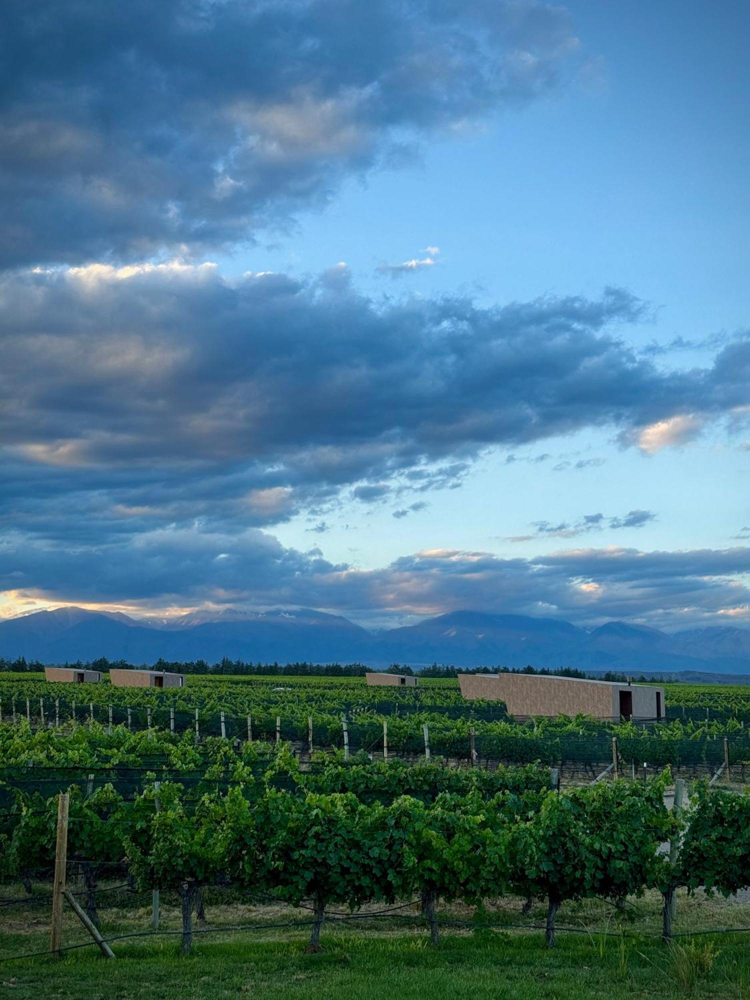 Andeluna Winery Lodge Tupungato Bagian luar foto