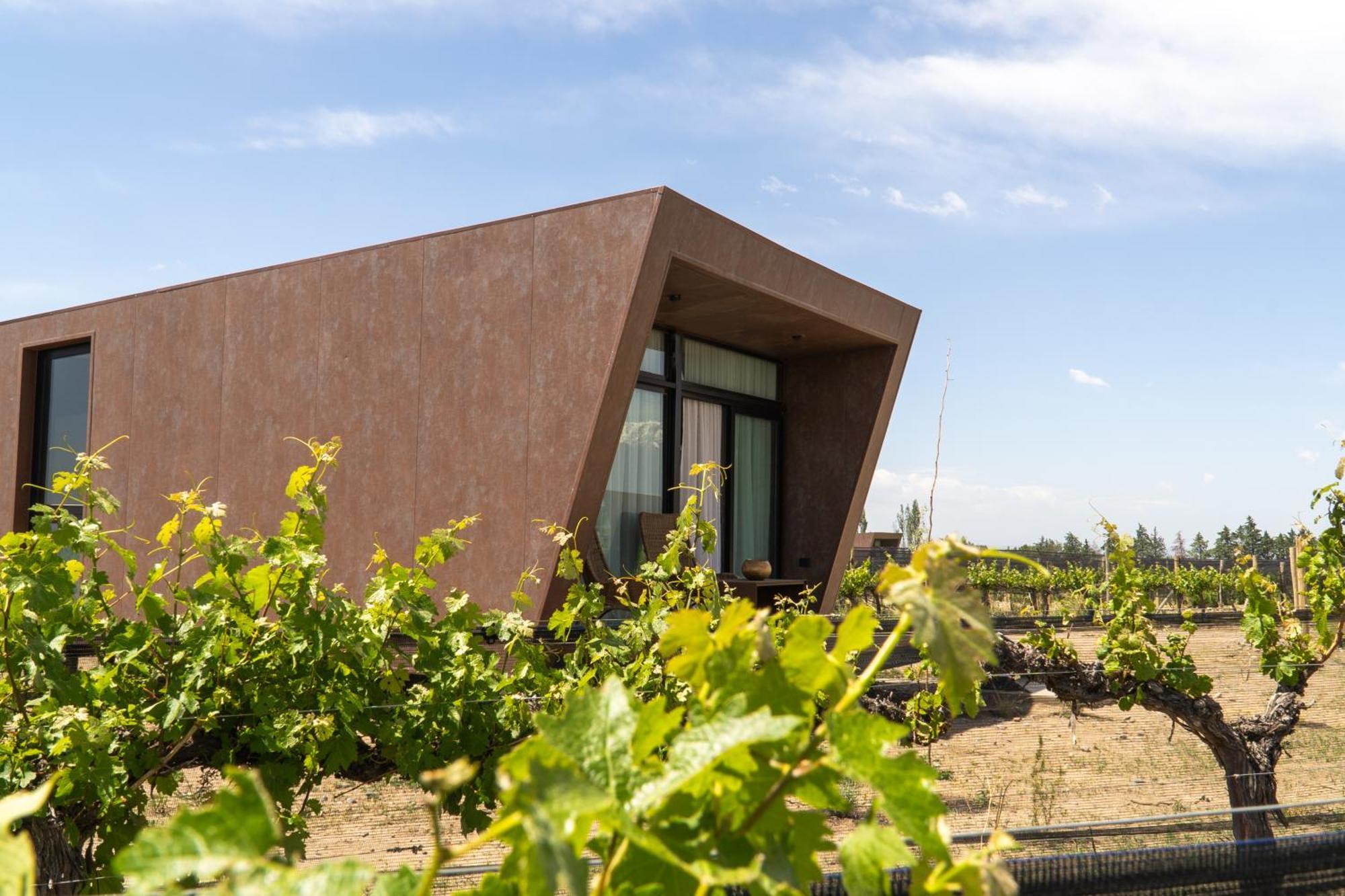 Andeluna Winery Lodge Tupungato Bagian luar foto